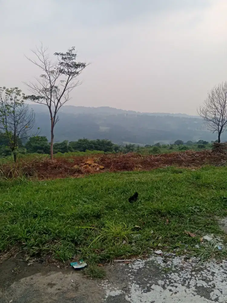 Mencari Kerjaan Apa Aja