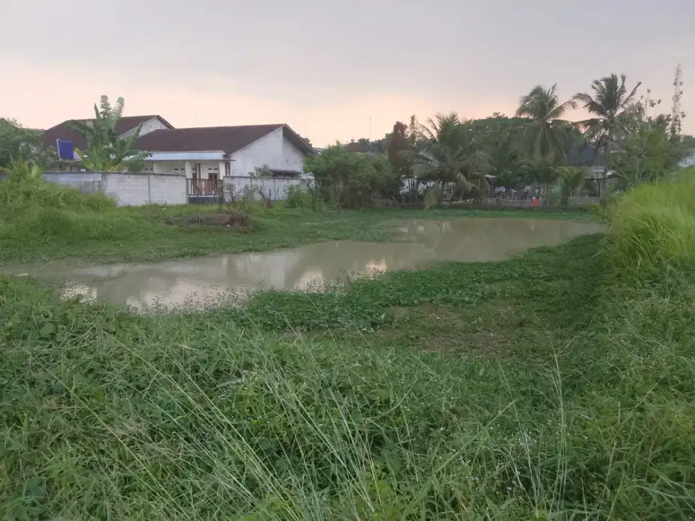 DIJUAL TANAH DARAT DEKAT STASIUN RANGKAS BITUNG