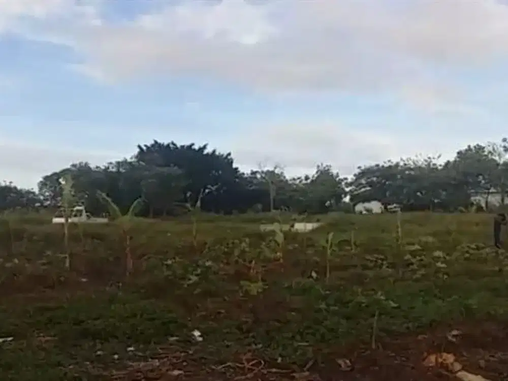Dijual Cepat Kavling Di Guradog Lebak Banten