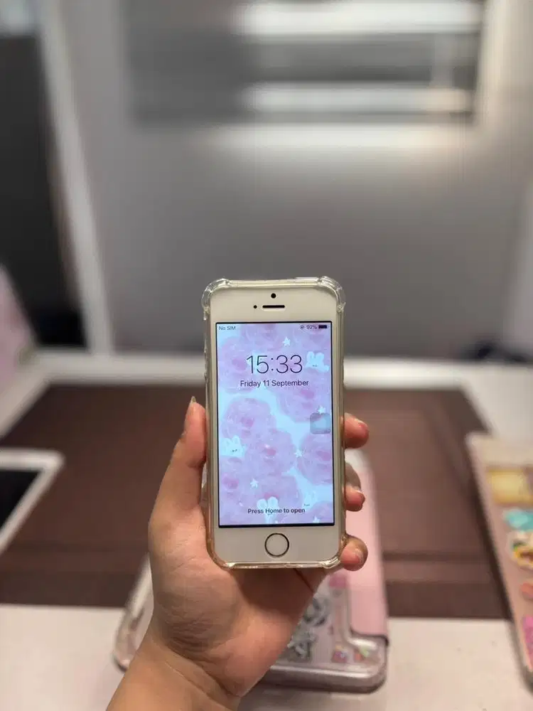 Iphone 5s inter wifi only