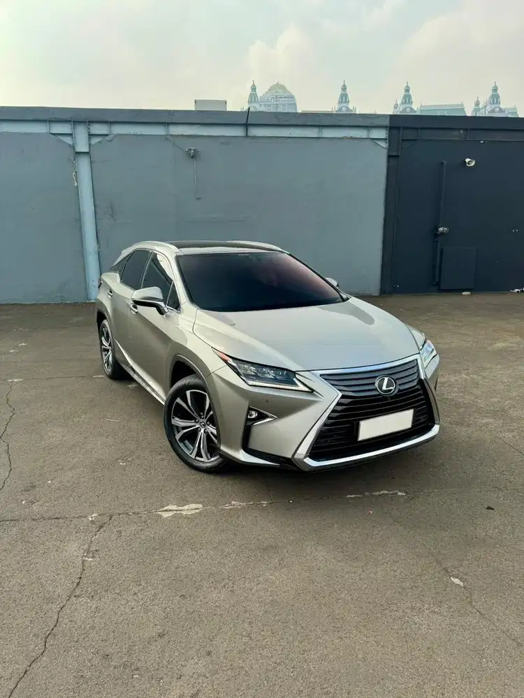 LEXUS  RX 300  2019 Luxury AT ABU ABU