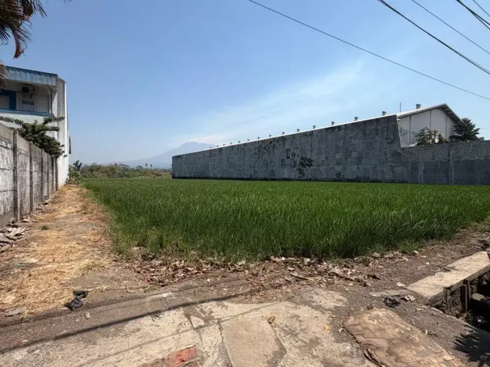 Dijual Tanah Luas di Karangpandan Pakisaji Malang bisa Untuk Gudang