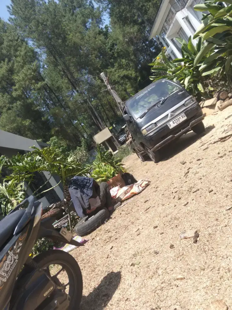 Jasa tebang pohon dan potong rumput