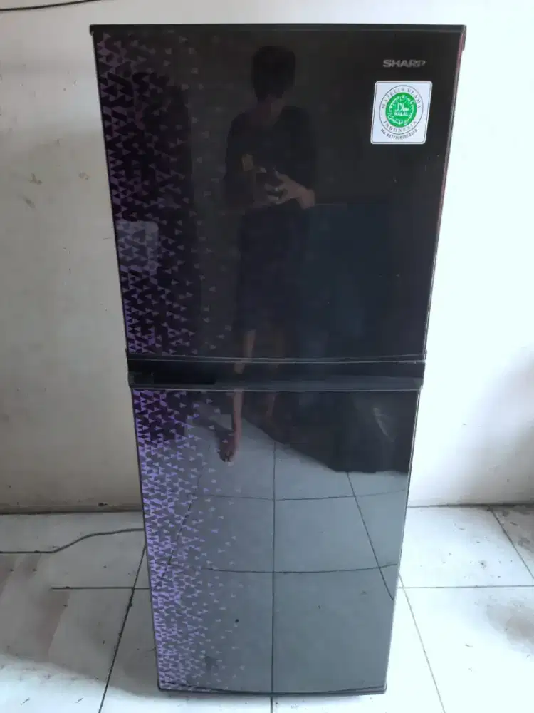 Kulkas sharp 2 pintu