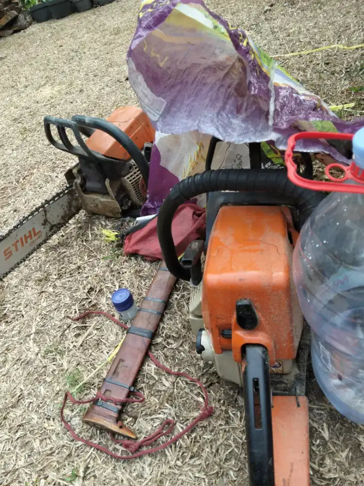 Jasa tebang pohon dan potong rumput