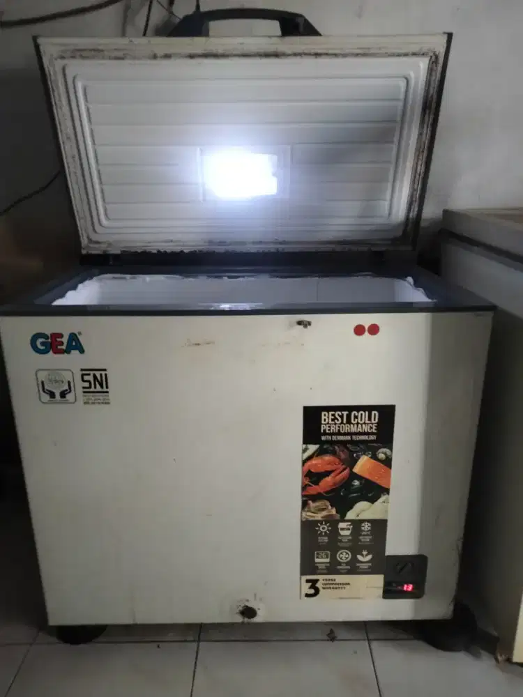 FREZER box 300l merk gea