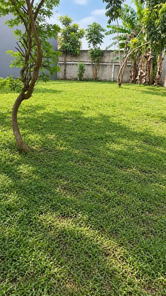 Dijual Kavling Siap Bangun Di Kencana Loka Bsd City