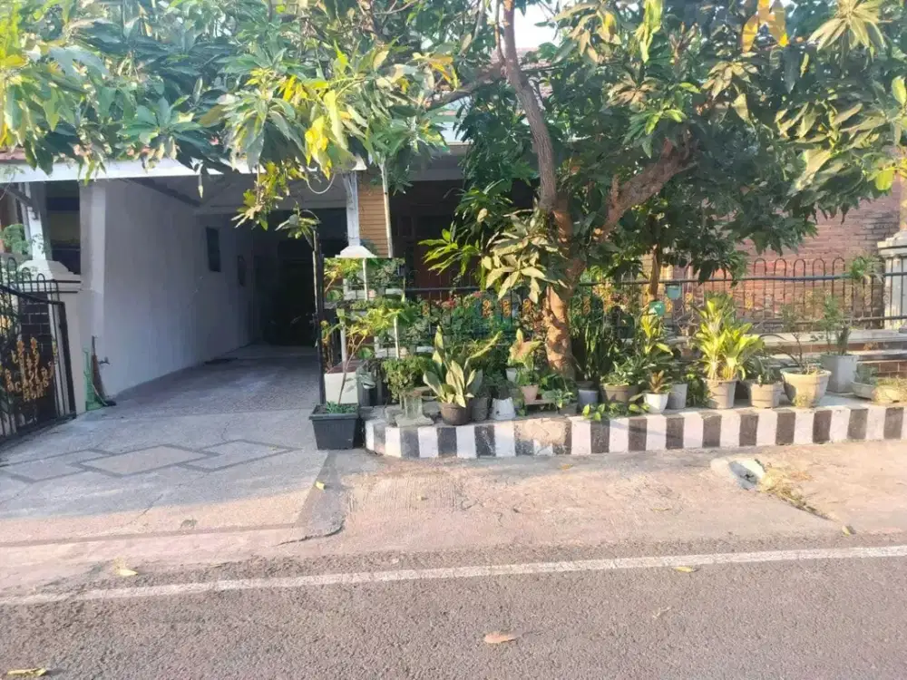 DIJUAL RUMAH RUNGKUT ASRI TIMUR SURABAYA RON.A1237