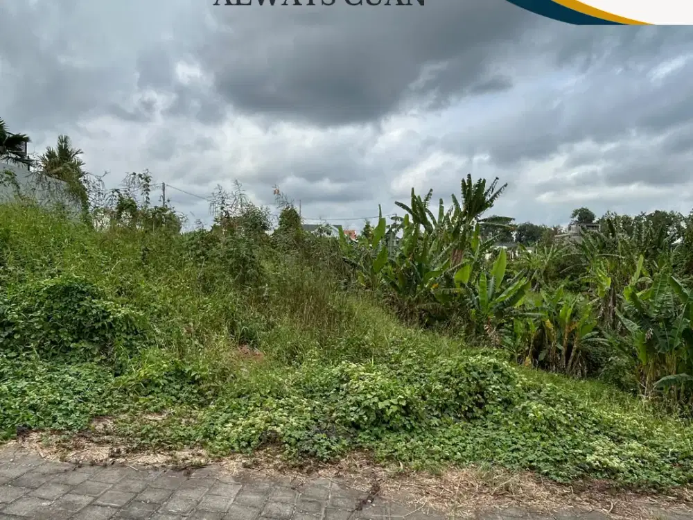 DIJUAL TANAH MURAH TABANAN – FULL VIEW AREA TABANAN