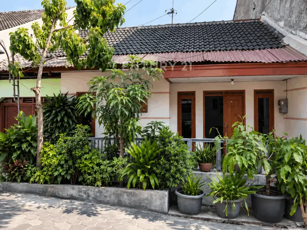 Rumah 3 Kamar Siap Huni Dekat Kota Jogja