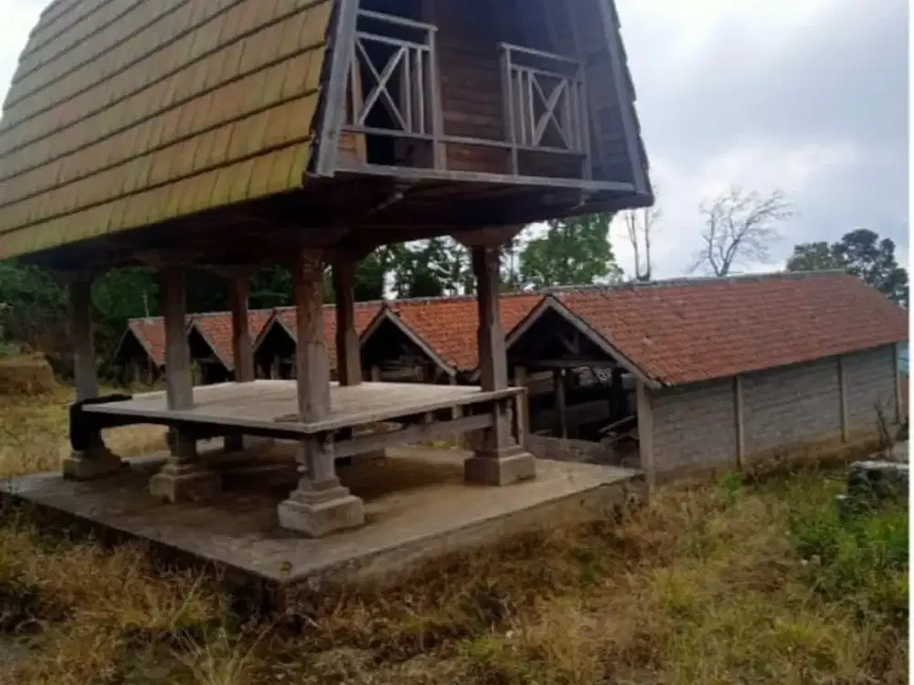 DIJUAL TANAH LUAS 6,5 HEKTARE DI BALI – INVESTASI PREMIUM!