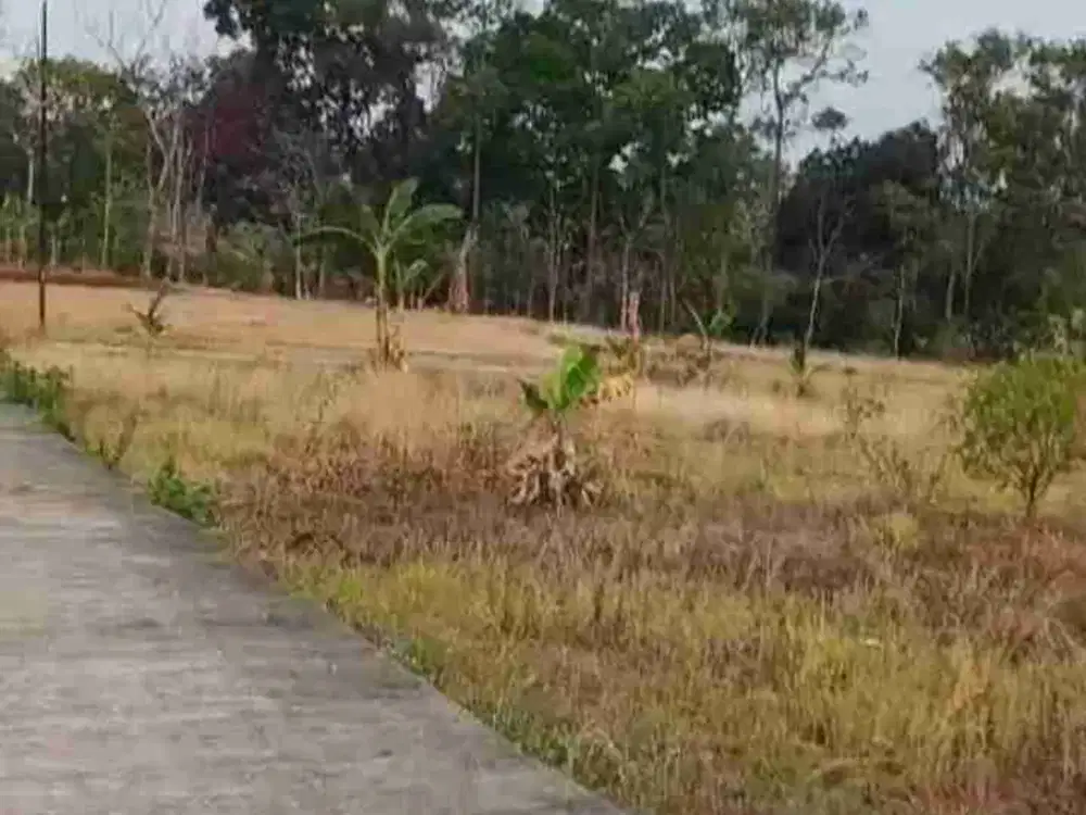 TANAH MURAH PRINGAPUS SEMARANG. JUAL CEPAT, AKSES JALAN LEBAR