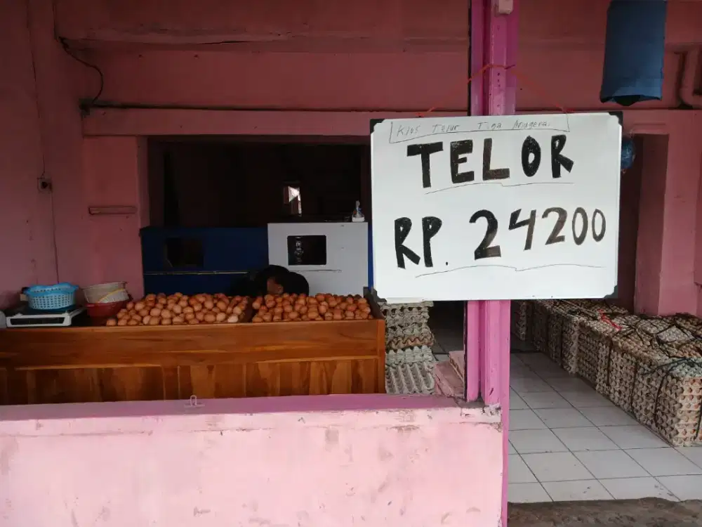 Telur Ayam Negeri