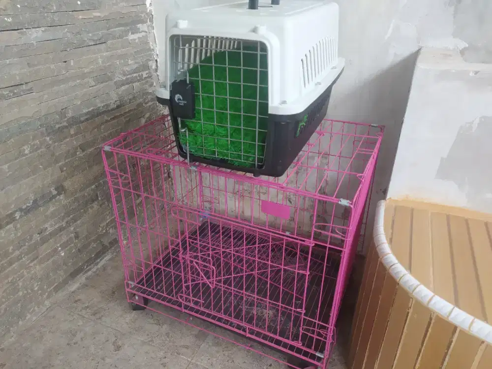 Kandang kucing murah + pet cargo no minus