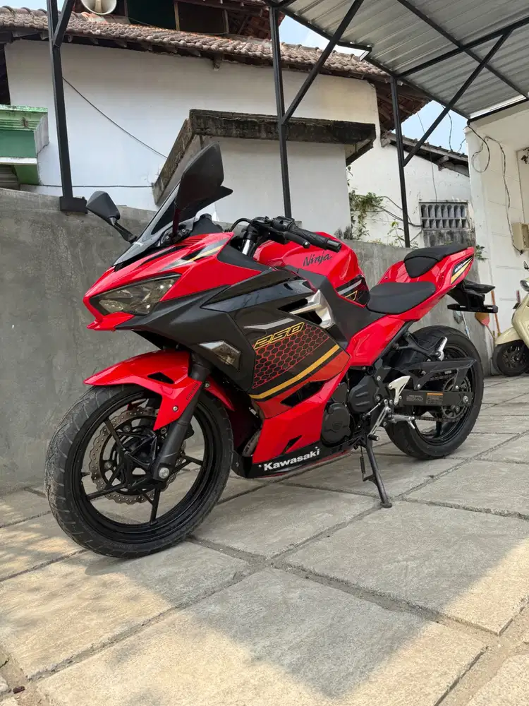 new ninja 250 fi