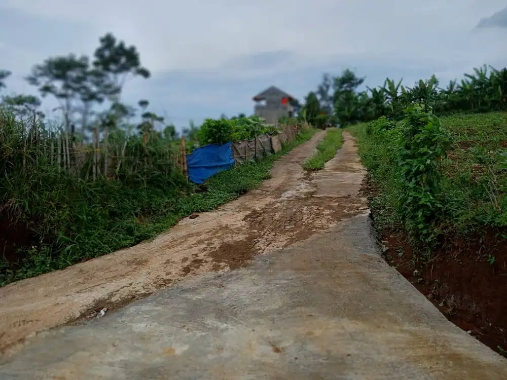 JUAL TANAH KAVLING UNTUK INVESTASI
