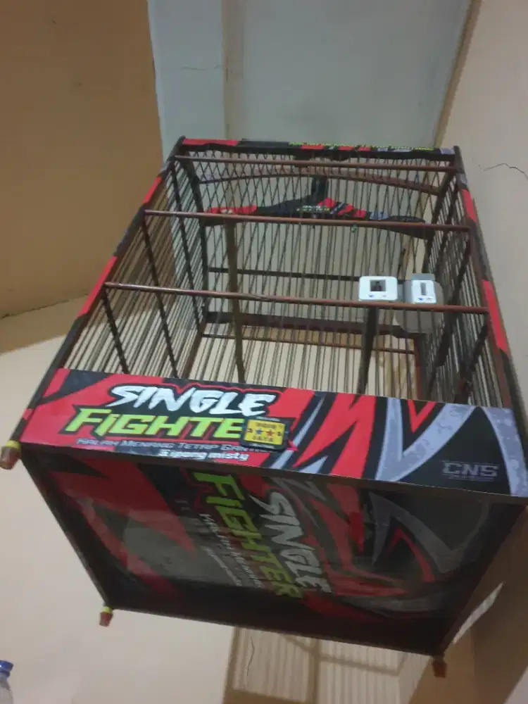 Jual Sangkàr Burung