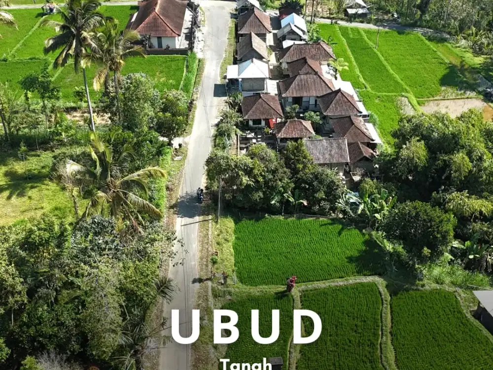 Tanah Tegalallang Ubud Pemandangan Sawah dan Sungai Kecil