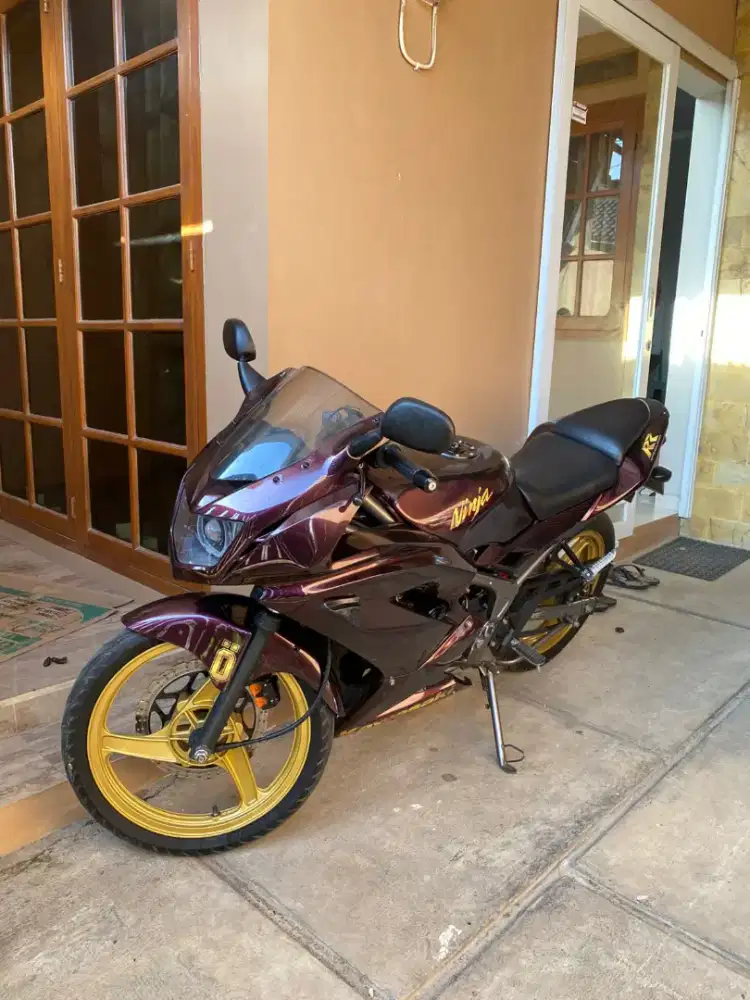 Kawasaki Ninja 150 RR New