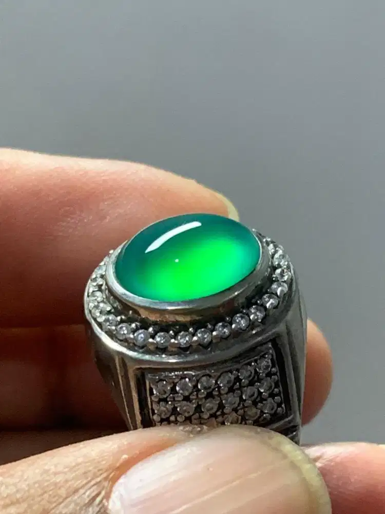 Bacan Doko Cokelat Giwang