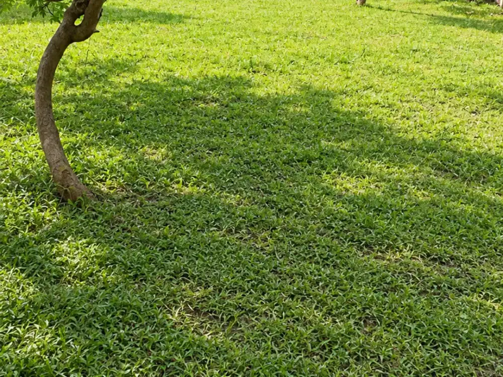 Dijual Tanah Siap Bangun Di Kencana Loka Bsd City