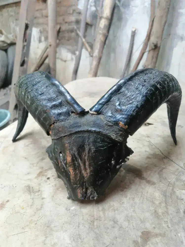 pajangan dinding