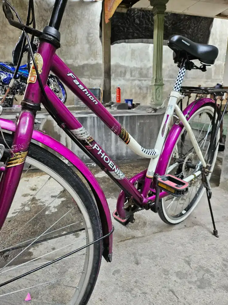 Sepeda leady kalcer ring 26