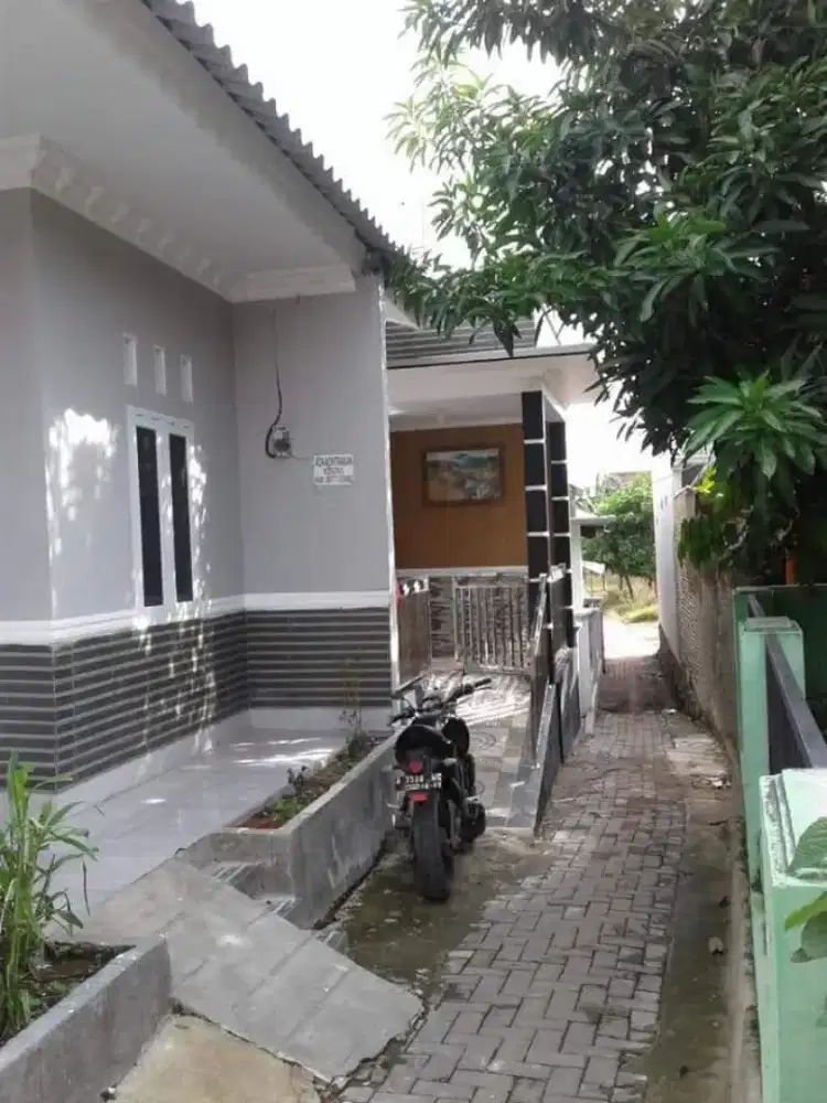 Kontrakan di jual