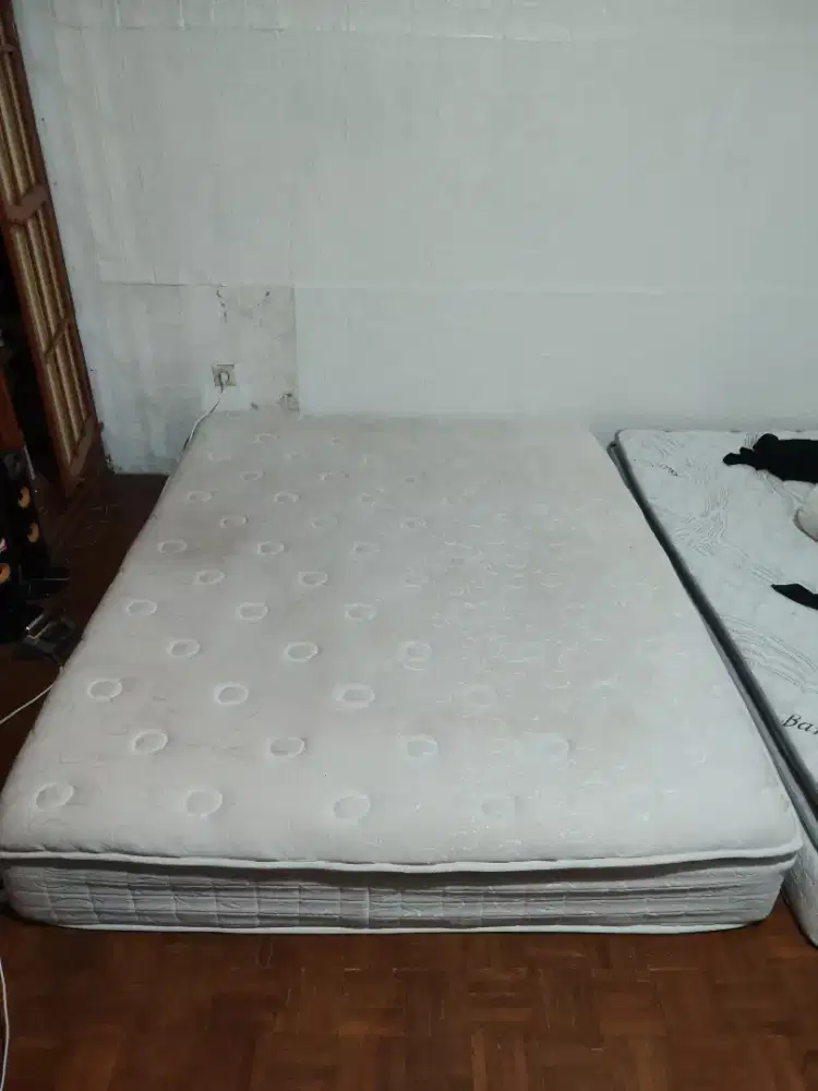 Informa Sleep 160x200 cm Kasur Pocket Springbed
