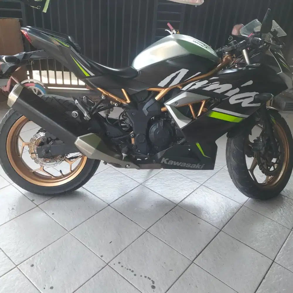 Kawasaki ninja 250 fi mono 2019