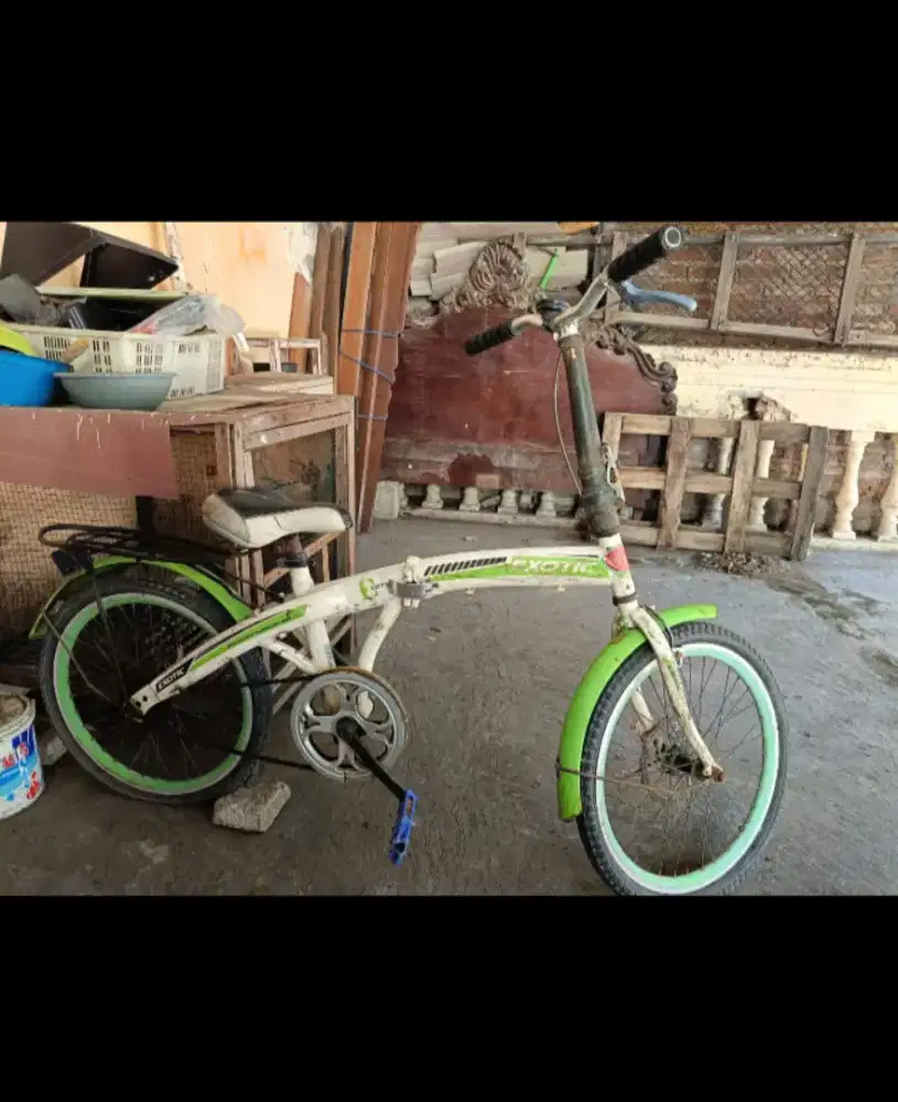 Sepeda exotic BMX DEWASA