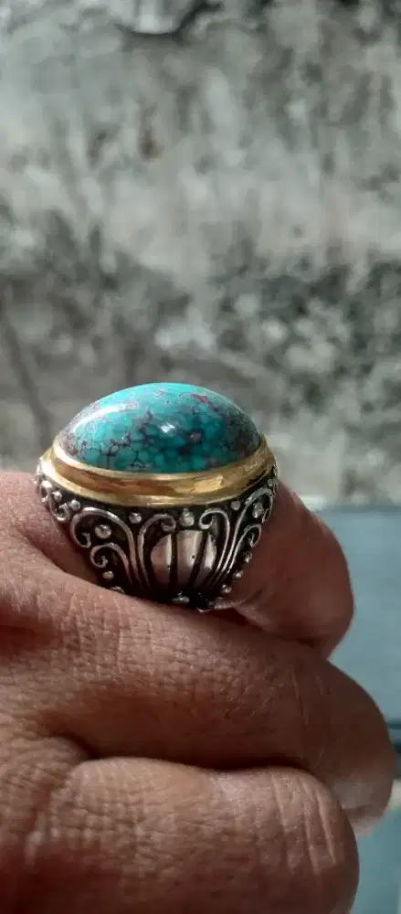 Pirus persia urat merah spider mumbul