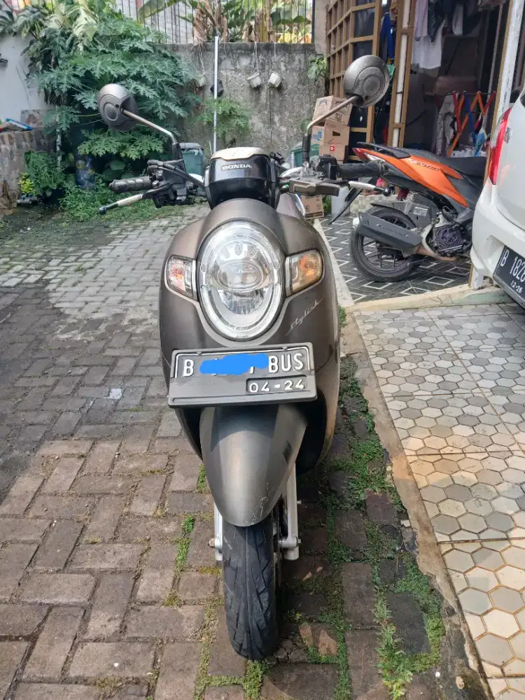 Honda Scoopy Stylish 2019