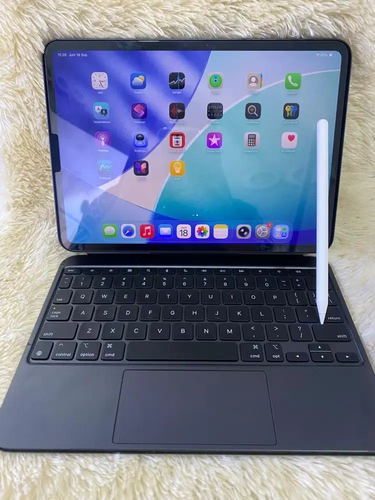 IPad Pro (M4) 11 inch 256Gb Wifi black fullset original #3Gcom