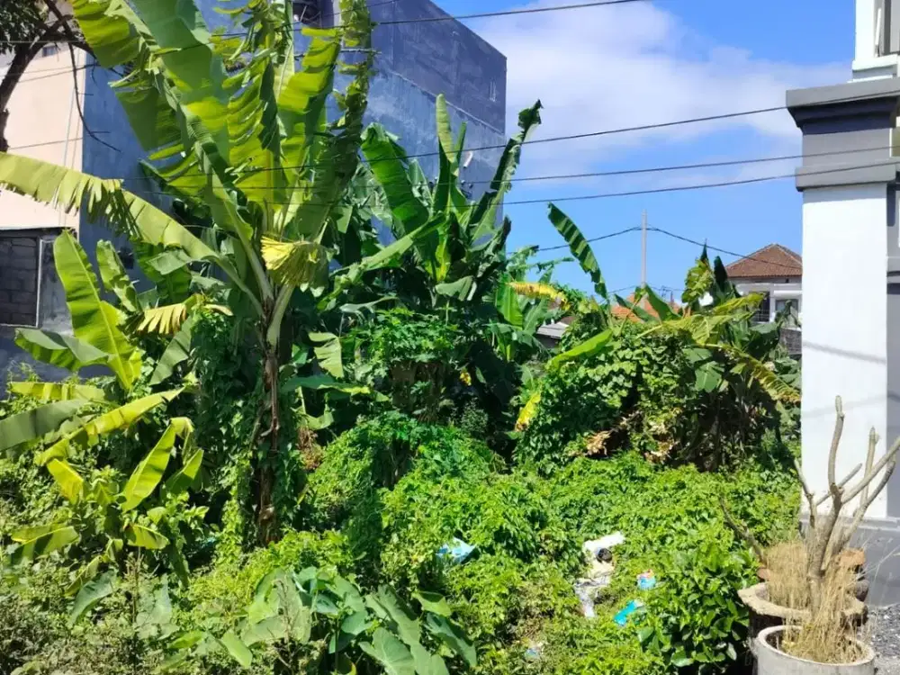 DIJUAL TANAH STRATEGIS DI TUKAD BALIAN, RENON, DENPASAR, BALI