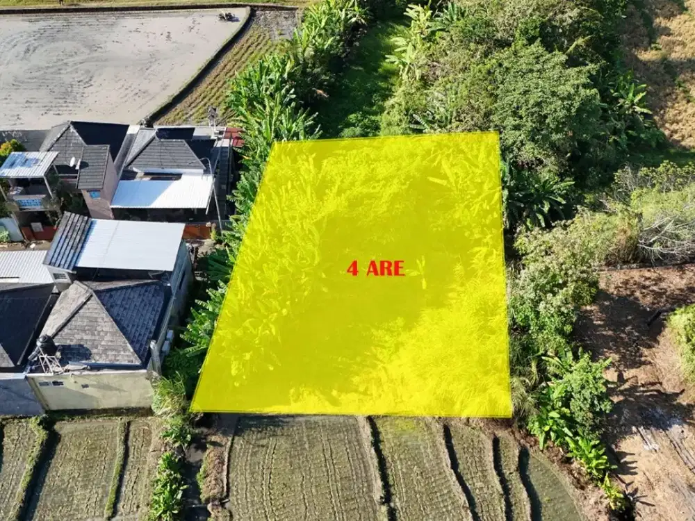 DIJUAL TANAH 4 ARE DI KEBILBIL KEDIRI TABANAN, BALI