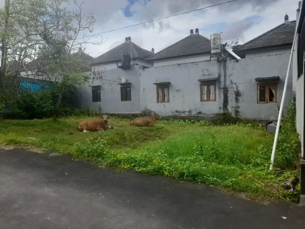 DIJUAL TANAH STRATEGISDI GANG ILALANG, SEMPIDI, BADUNG BALI