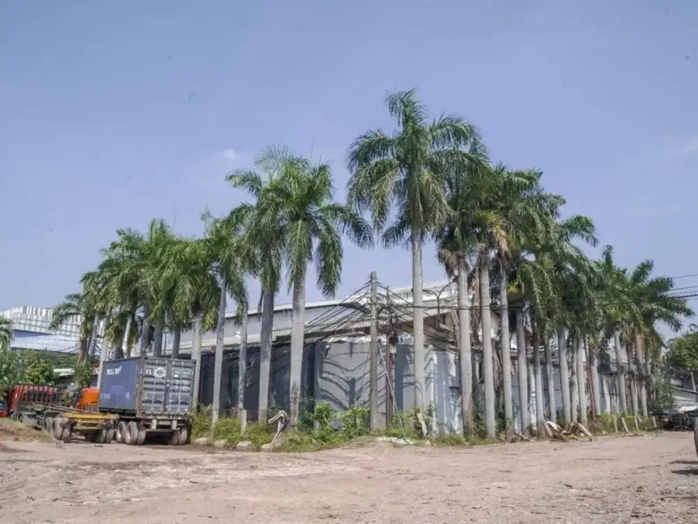 DIJUAL GUDANG STRATEGIS – PAPANGGO, TANJUNG PRIOK, JAKARTA UTARA