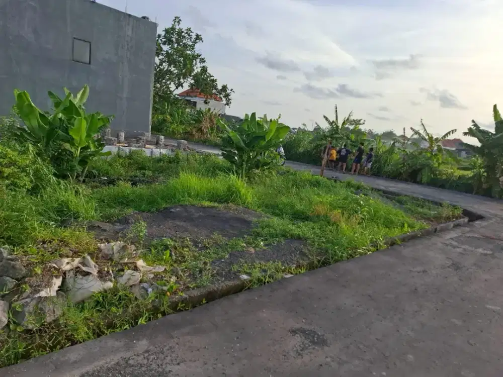 Dijual Tanah Hook 3 Are di Jl. Sedap Malam, Gang Tunjung Biru Denpasar, Bali