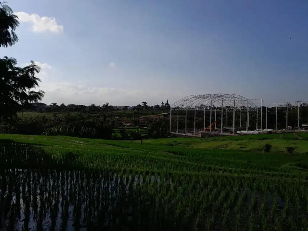 Dijual Tanah View Sawah  Pegending, Dekat Padonan Canggu Bali