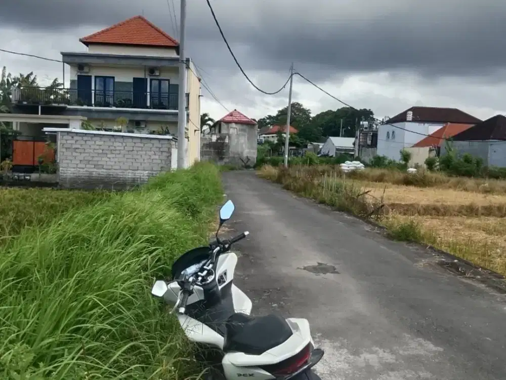 Dijual Tanah Strategis 1,5 Are di Tukad Balian, Sanur Kauh Denpasar Selatan, Bali