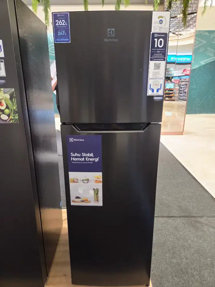 KULKAS ELECTROLUX ETM2500A NEW PRODUCK