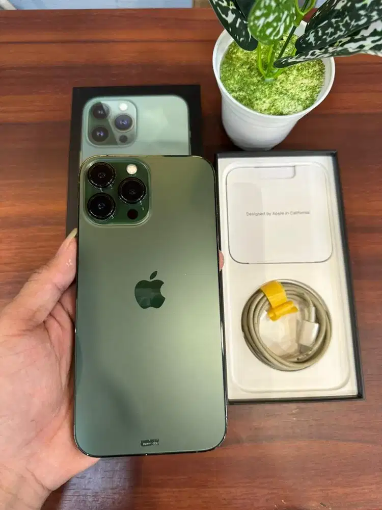 iPhone 13 Pro Max 128GB Green iBox