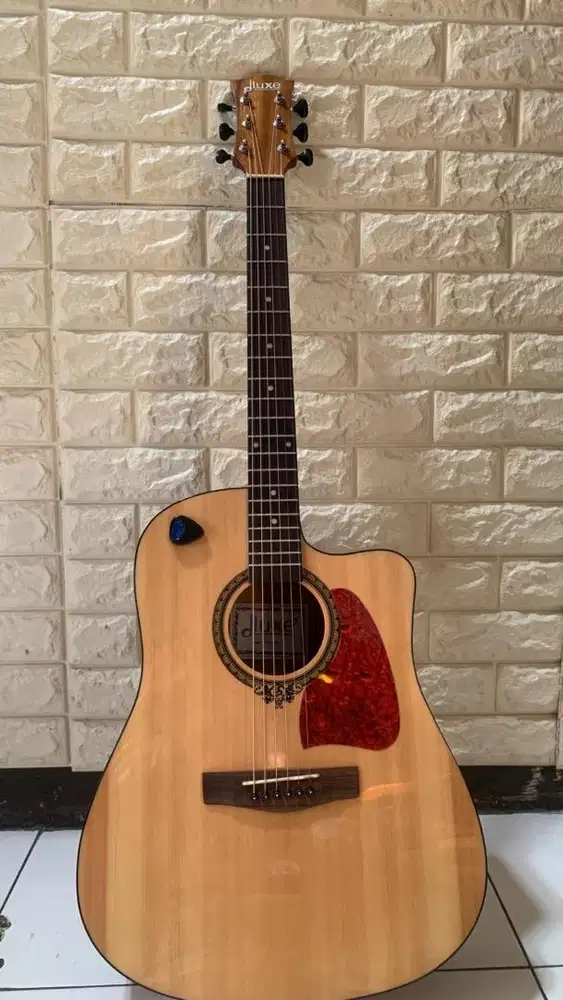 GITAR AKUSTIK DLUXE DW 110 G(GLOSSY) ORIGINAL