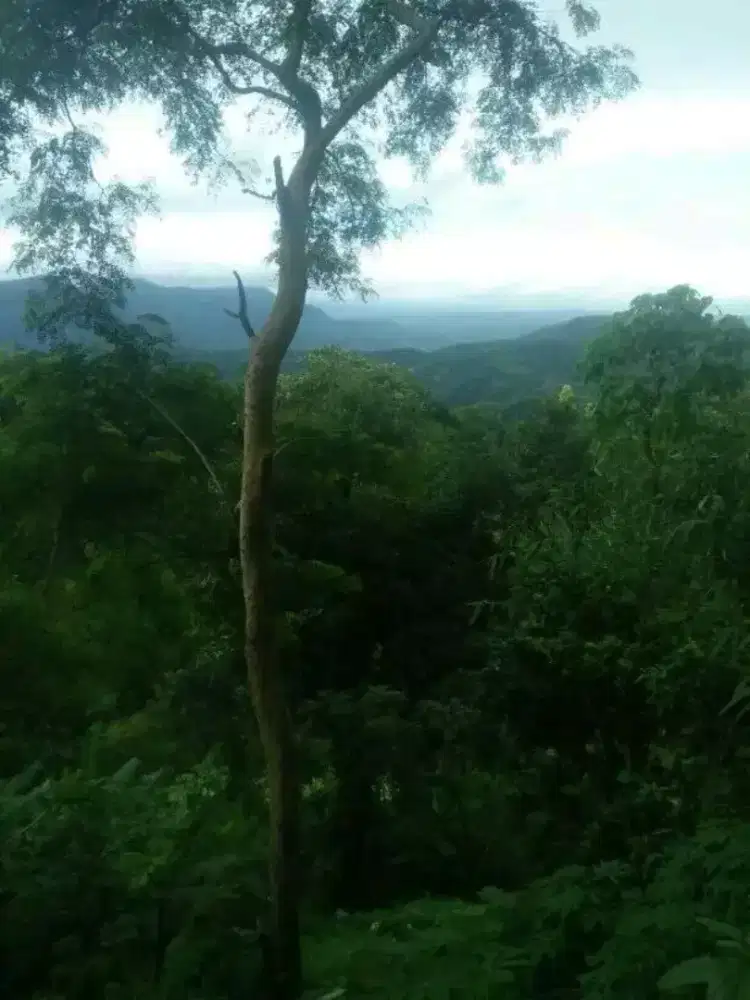 Cari pekerjaan Proyek