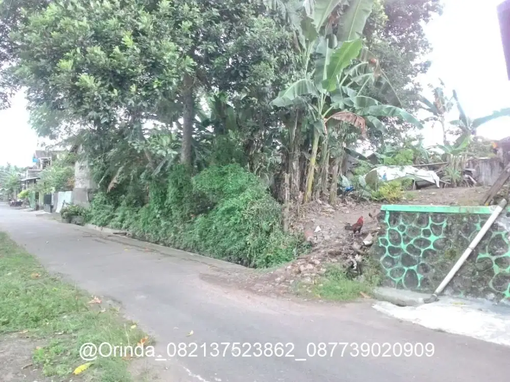 LT 296 NITIKAN UMBULHARJO TANAH SHMP DEKAT UAD, STIE WIDYA WIWAHA, XT SQUARE, TERMINAL GIWANGAN, PASAR IKAN HIGIENIS, RS WIROSABAN