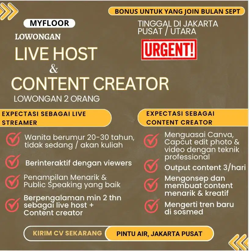 Lowongan kerja live host + content creator