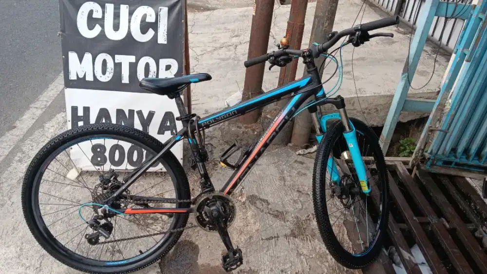 Sepeda Polygon Monarch M5