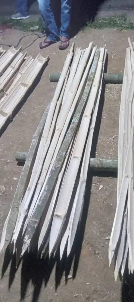 Bambu Tonggak Tanaman dan Bingkai Layangan
