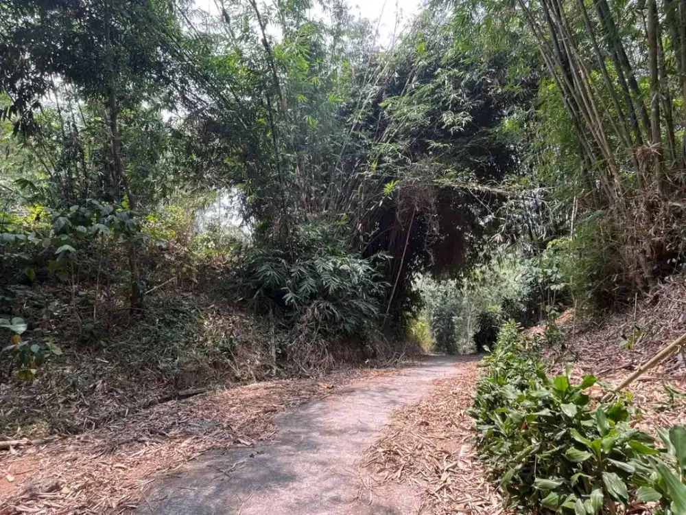 Dijual Murah Tanah 1500 m2 Akses Mobil di Wanayasa Purwakarta